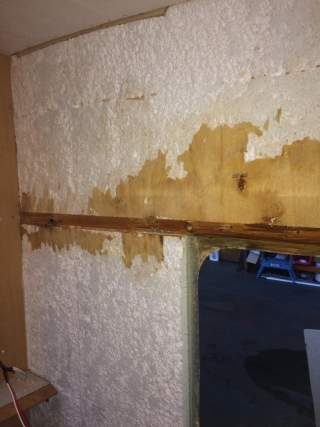 Major repais & damp problems 